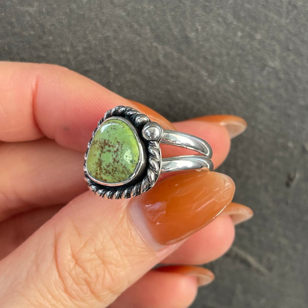 GASPEITE SIZE 7